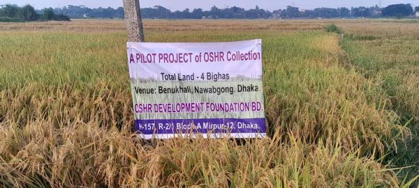 A Pilot Project of Ushr Collection